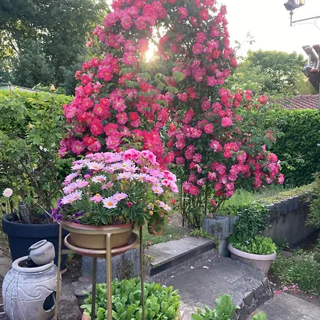 Landhausidyll 2 Grundshagen